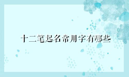 十二笔起名常用字有哪些