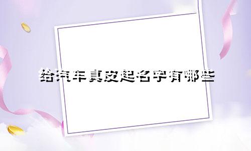 给汽车真皮起名字有哪些