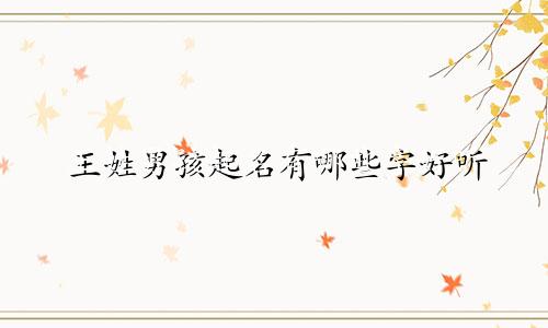 王姓男孩起名有哪些字好听