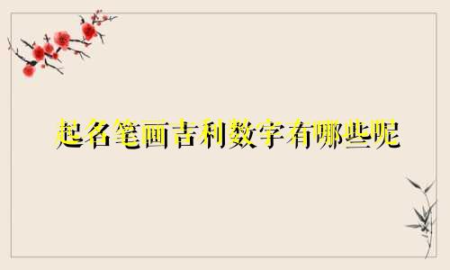 起名笔画吉利数字有哪些呢