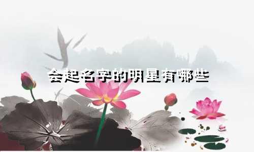 会起名字的明星有哪些