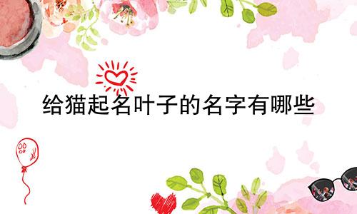 给猫起名叶子的名字有哪些