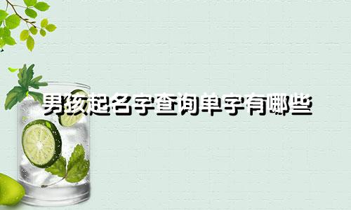 男孩起名字查询单字有哪些
