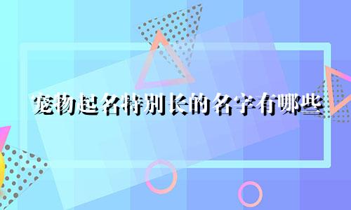 宠物起名特别长的名字有哪些