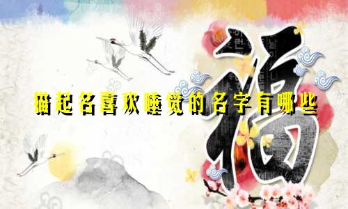 猫起名喜欢睡觉的名字有哪些