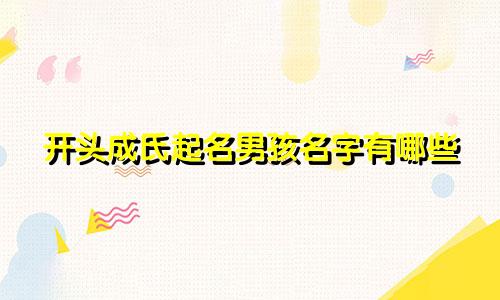 开头成氏起名男孩名字有哪些