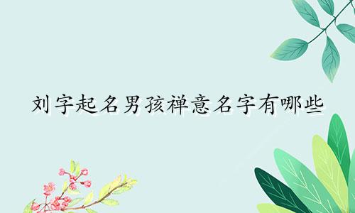 刘字起名男孩禅意名字有哪些