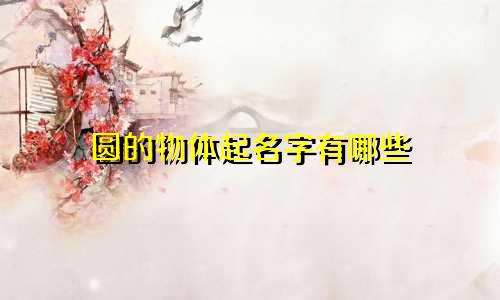 圆的物体起名字有哪些
