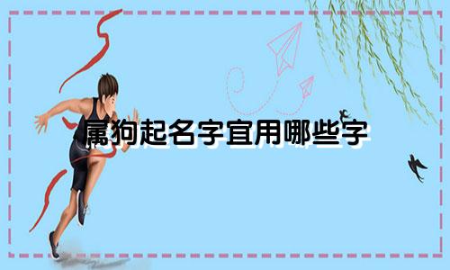 属狗起名字宜用哪些字