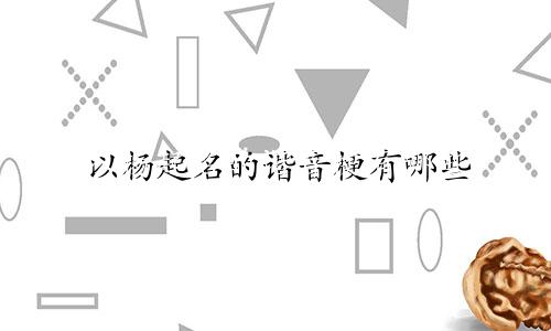 以杨起名的谐音梗有哪些