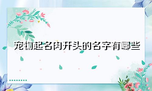 宠物起名肉开头的名字有哪些