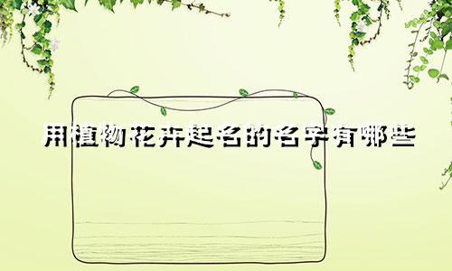 用植物花卉起名的名字有哪些