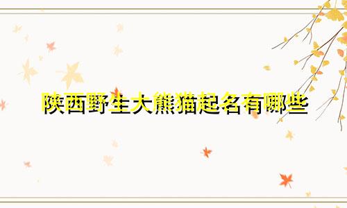 陕西野生大熊猫起名有哪些