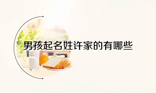 男孩起名姓许家的有哪些