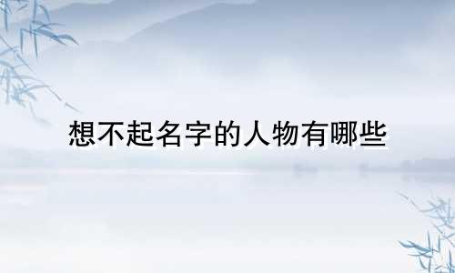 想不起名字的人物有哪些