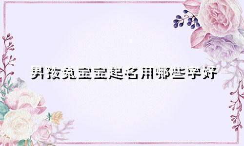 男孩兔宝宝起名用哪些字好
