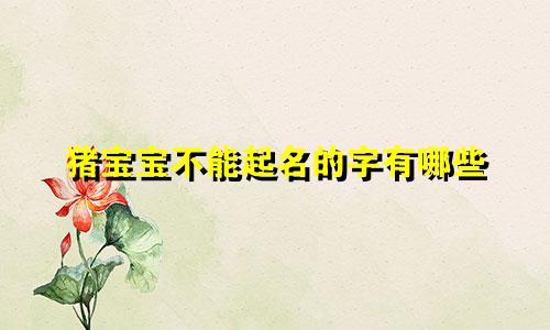 猪宝宝不能起名的字有哪些