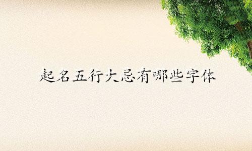起名五行大忌有哪些字体