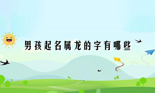 男孩起名属龙的字有哪些
