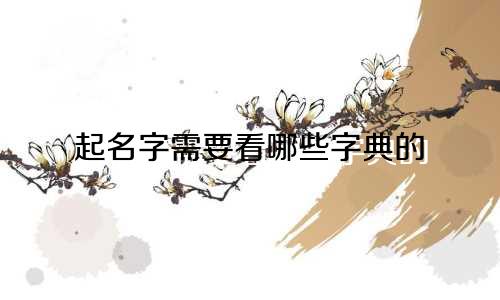 起名字需要看哪些字典的