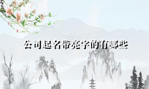 公司起名带亮字的有哪些