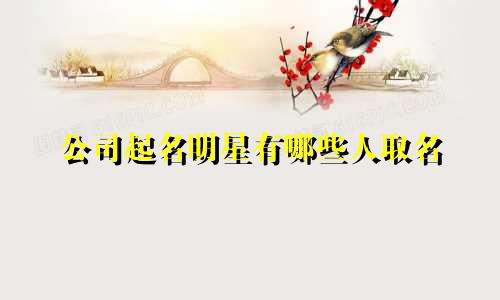 公司起名明星有哪些人取名