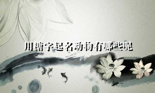 用糖字起名动物有哪些呢