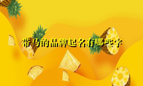 带马的品牌起名有哪些字