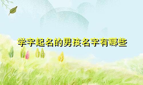 学字起名的男孩名字有哪些