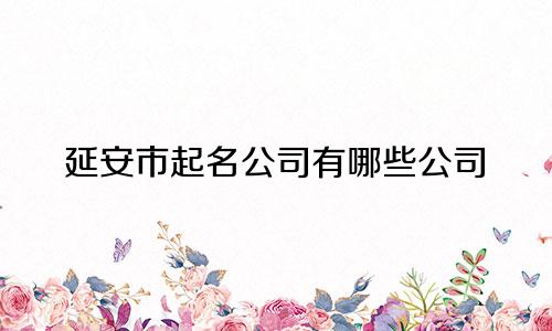 延安市起名公司有哪些公司