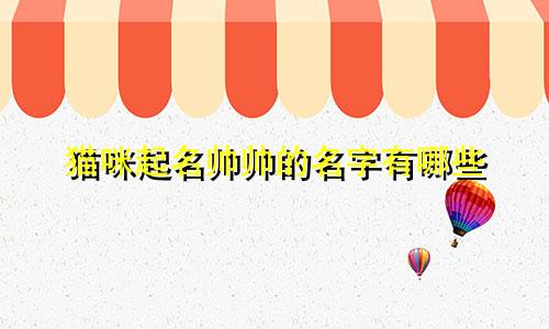 猫咪起名帅帅的名字有哪些