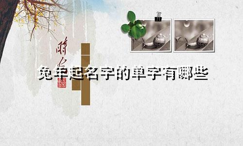 兔年起名字的单字有哪些