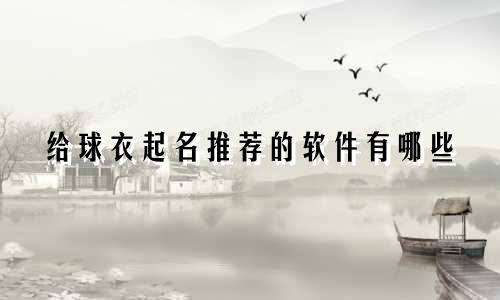给球衣起名推荐的软件有哪些