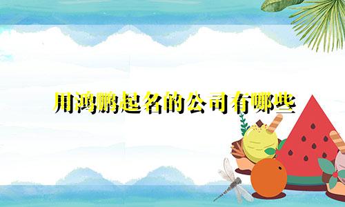 用鸿鹏起名的公司有哪些