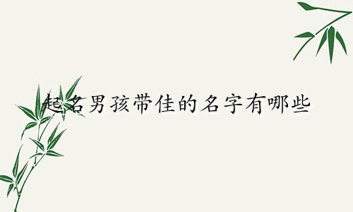 起名男孩带佳的名字有哪些