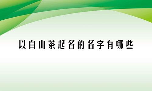 以白山茶起名的名字有哪些