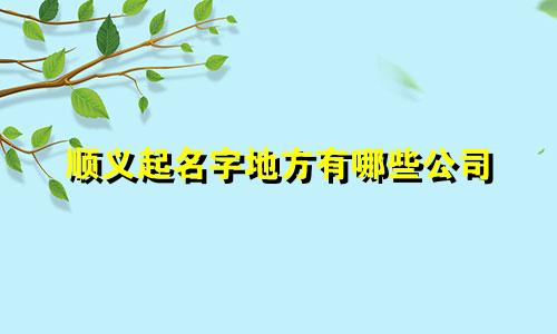 顺义起名字地方有哪些公司