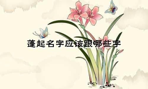 蓬起名字应该跟哪些字