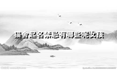 猫舍起名禁忌有哪些呢女孩