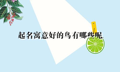 起名寓意好的鸟有哪些呢