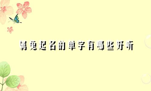 属兔起名的单字有哪些好听