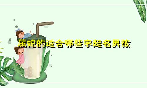 属蛇的适合哪些字起名男孩