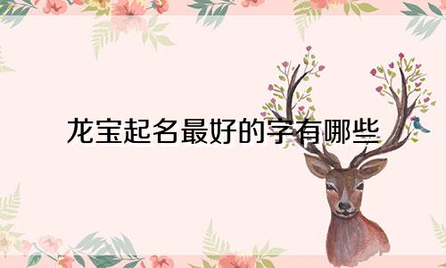 龙宝起名最好的字有哪些