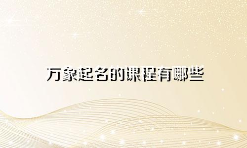 万象起名的课程有哪些