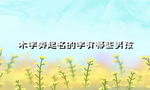 木字旁起名的字有哪些男孩