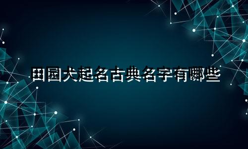 田园犬起名古典名字有哪些