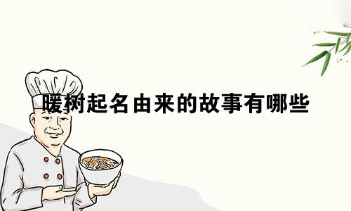 暖树起名由来的故事有哪些