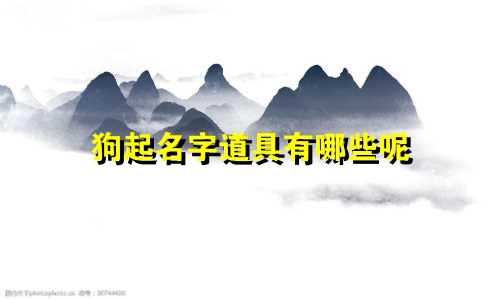 狗起名字道具有哪些呢