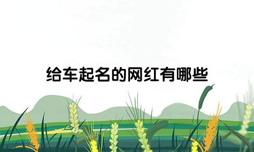 给车起名的网红有哪些