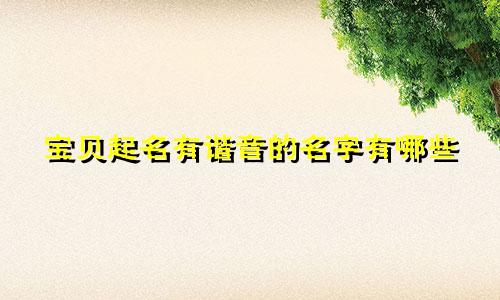 宝贝起名有谐音的名字有哪些
